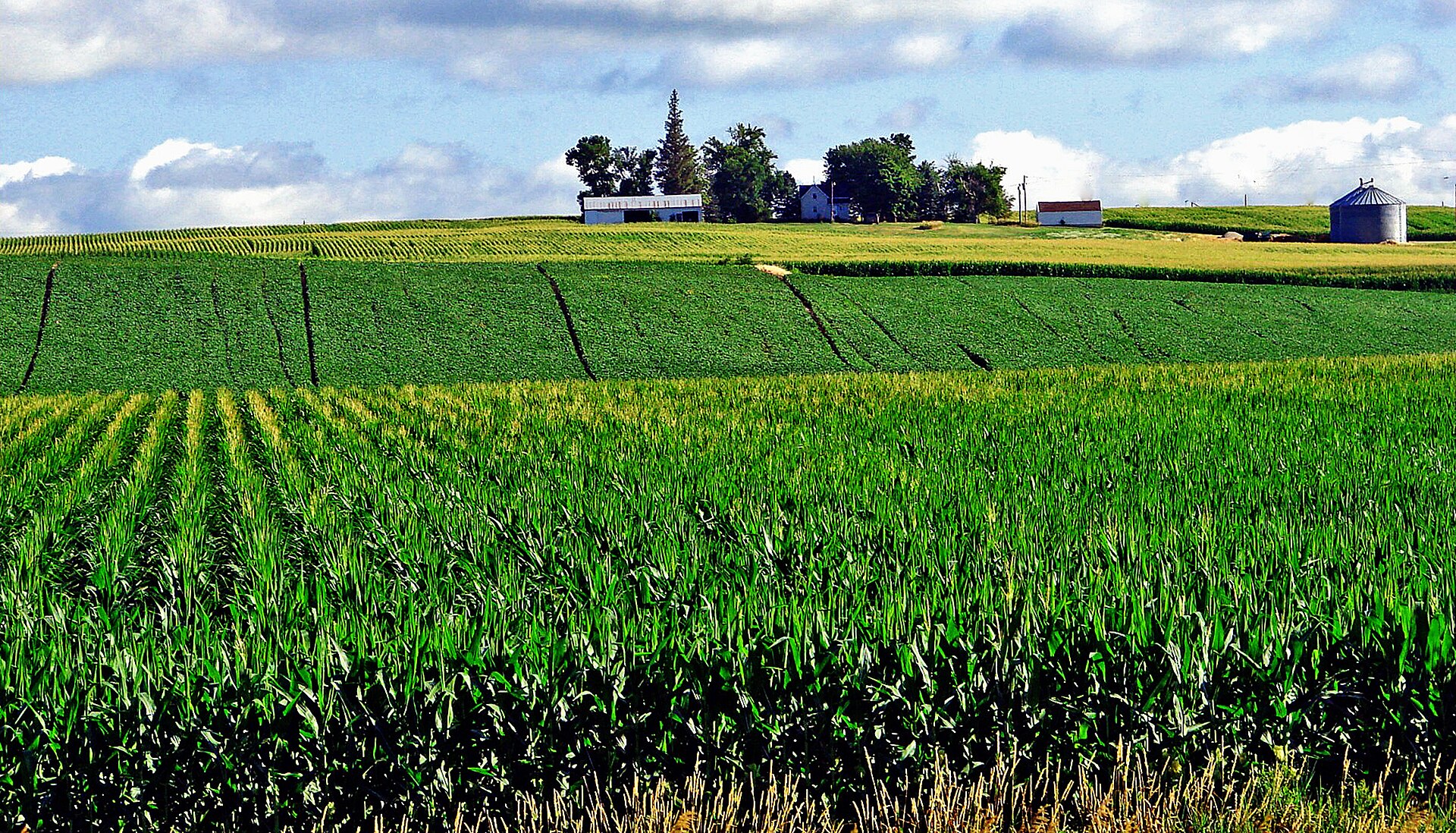 Lavoura monitorada com a sede da fazenda ao fundo
